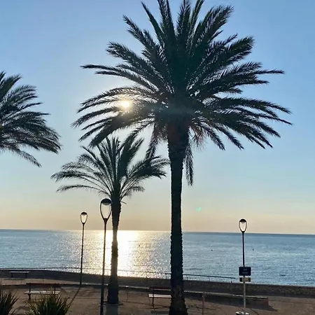 Fully Equipped Beachfront In The Heart Of The Center Bd Leclerc Lägenhet *